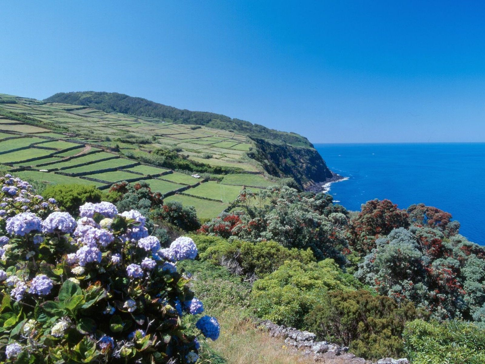 Landschap Terceira - Azoren eilandhoppen